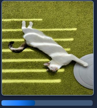 PurringCat Solver